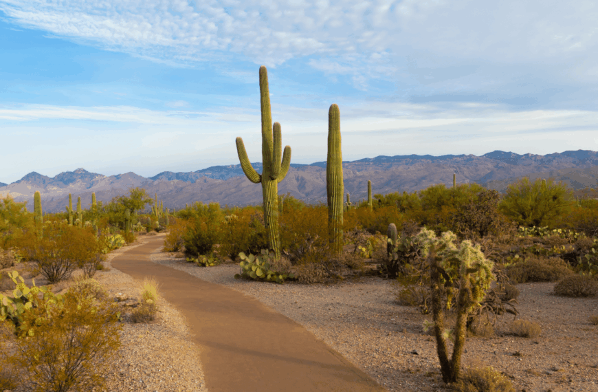 Arizona