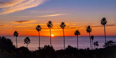 California