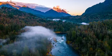 Washington